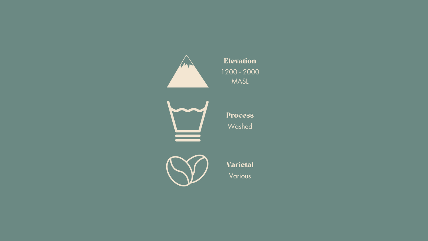Farm intel for Chin Up coffee: elevation 1200-2000 MASL, Processed - washed, Varietal - various