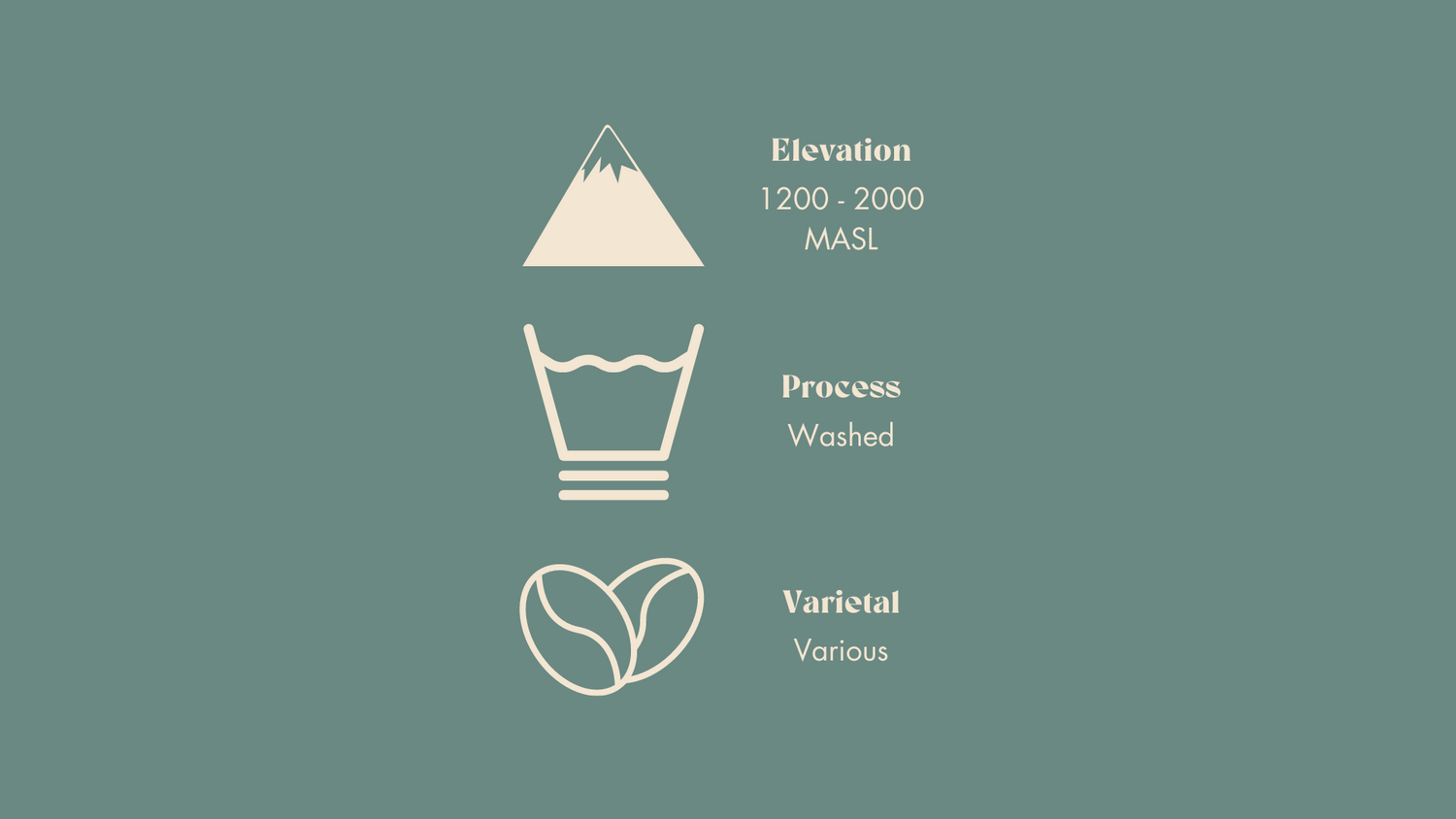 Describing the elevation, process, and varietal of the bean