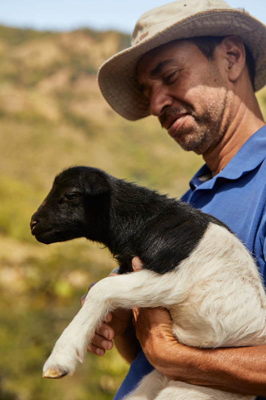 The Benefits of Regenerative Agriculture for the Coffee Industry