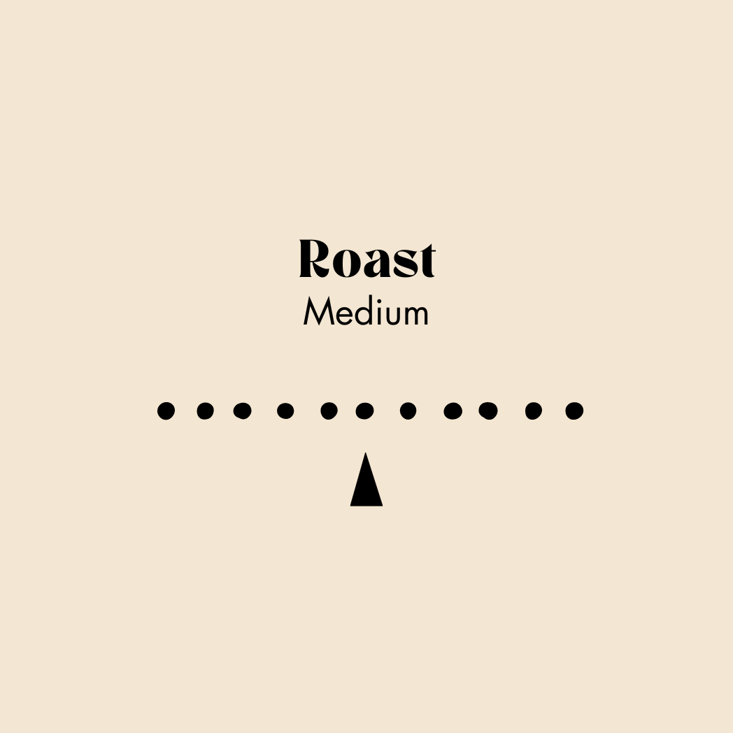 medium roast