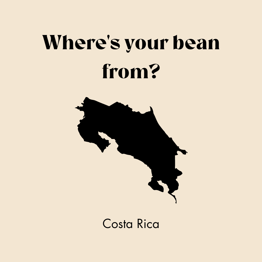 These coffee beans are from Costa Rica