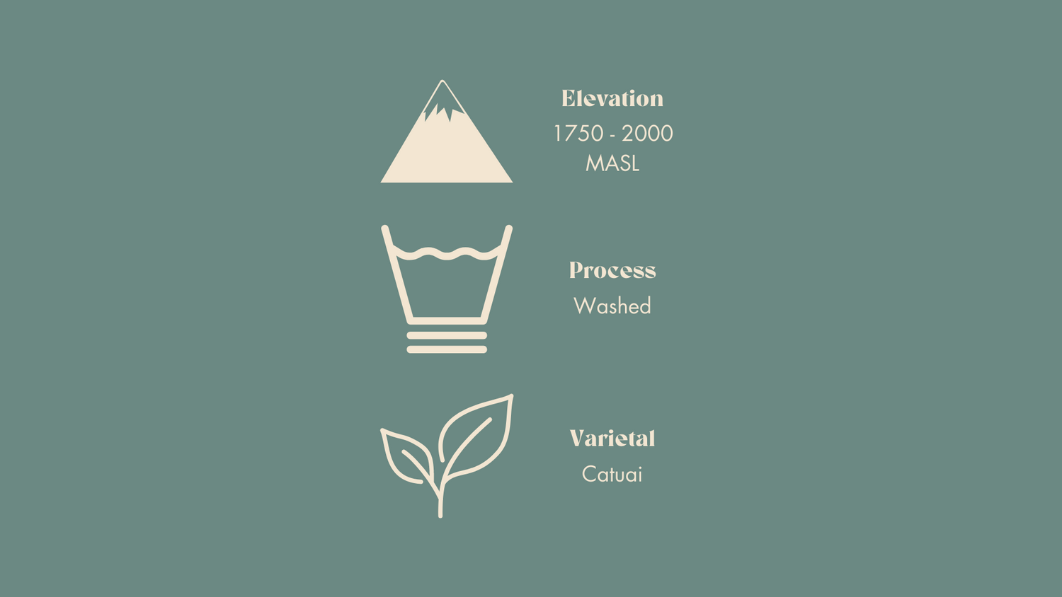 Describing the elevation, process, and varietal of the bean