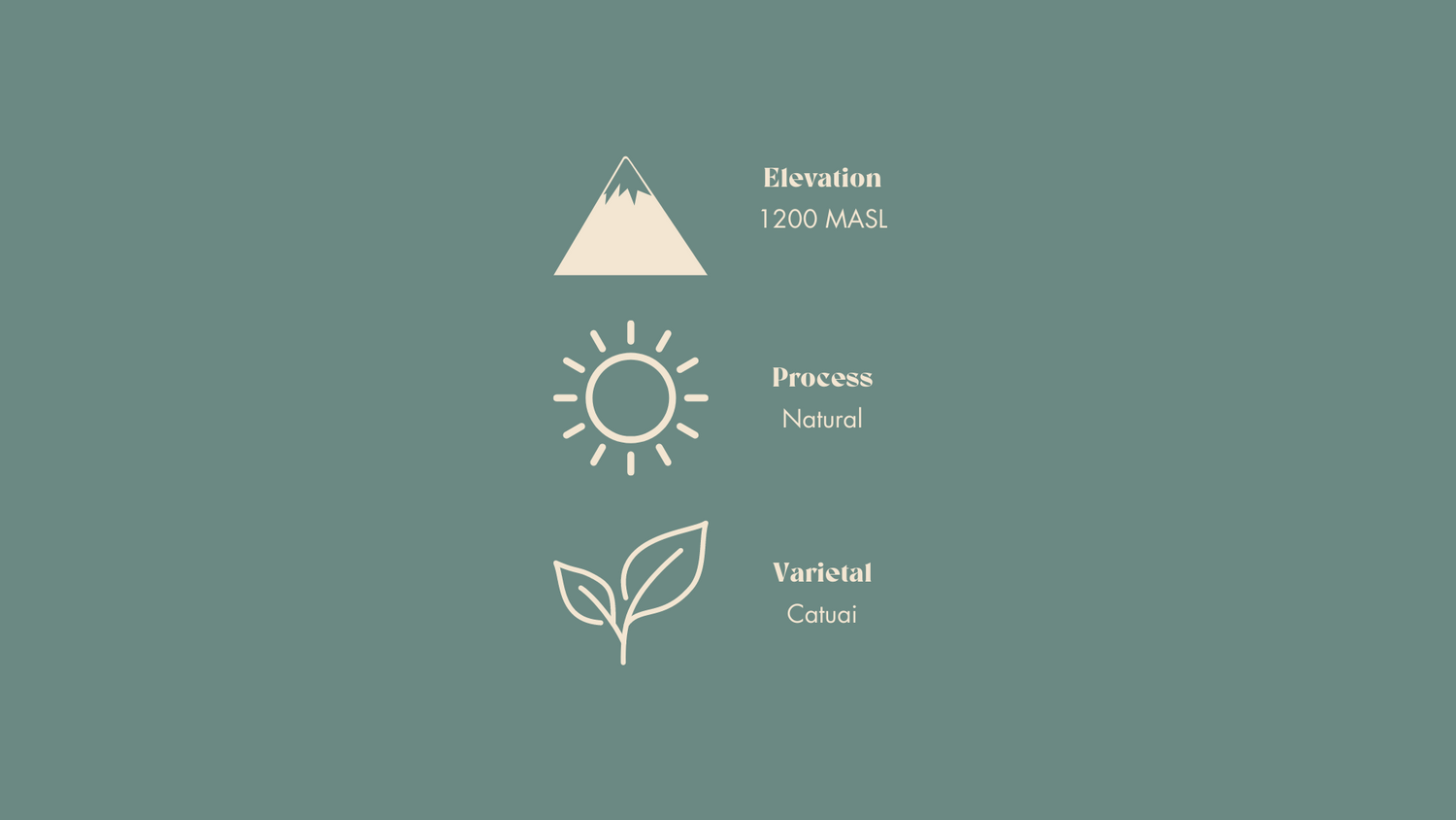 Describing the elevation, process, and varietal of the bean