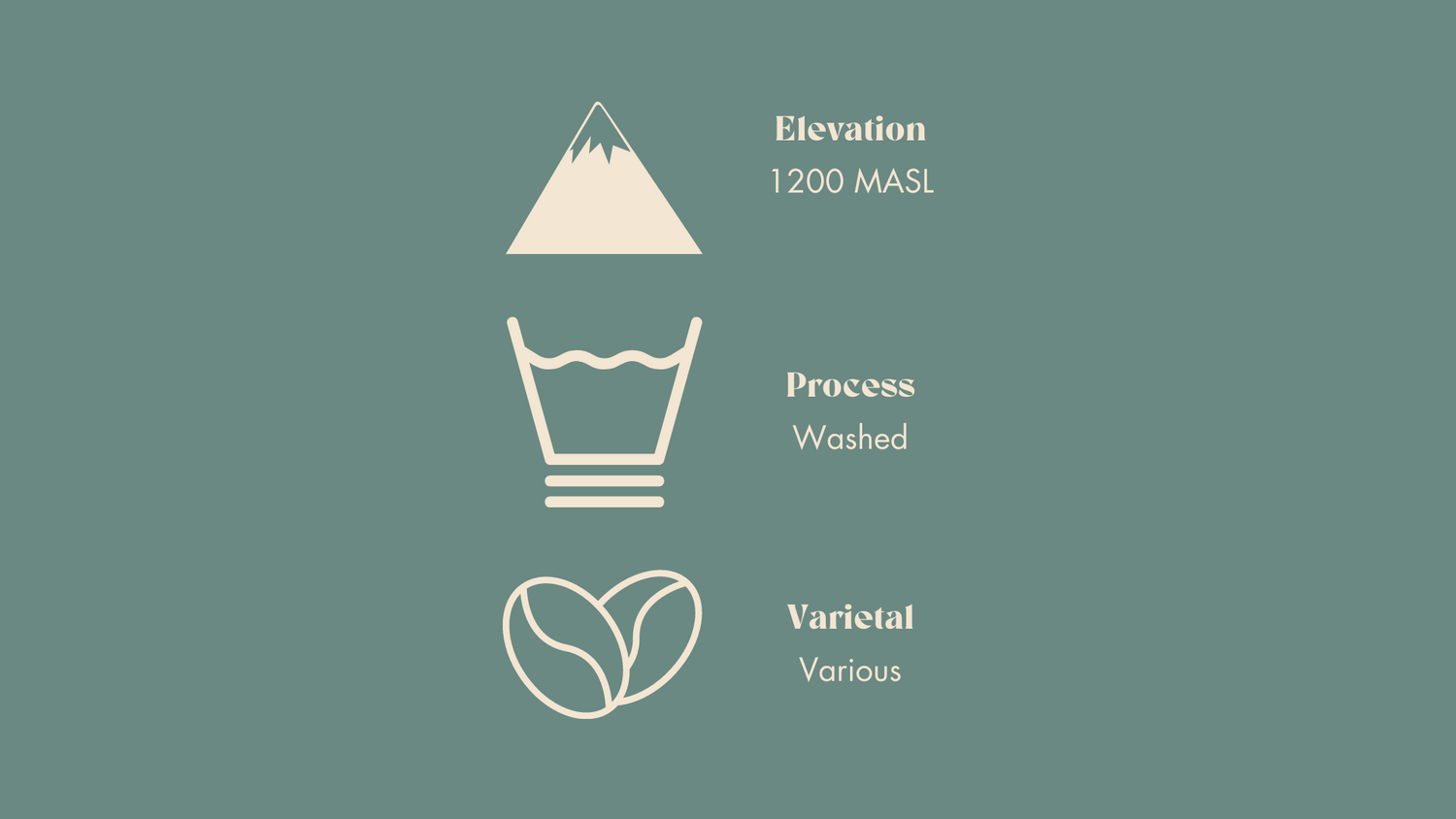 This is farm level detail about Elevation, process and variety of the coffee