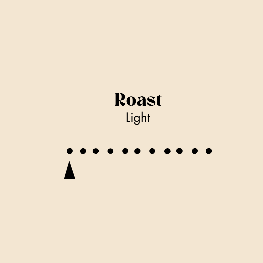 Light Roast