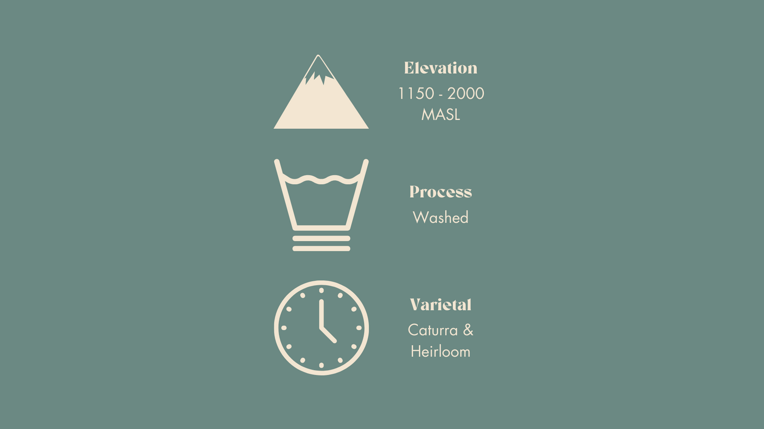 Describing the elevation, process, and varietal of the bean