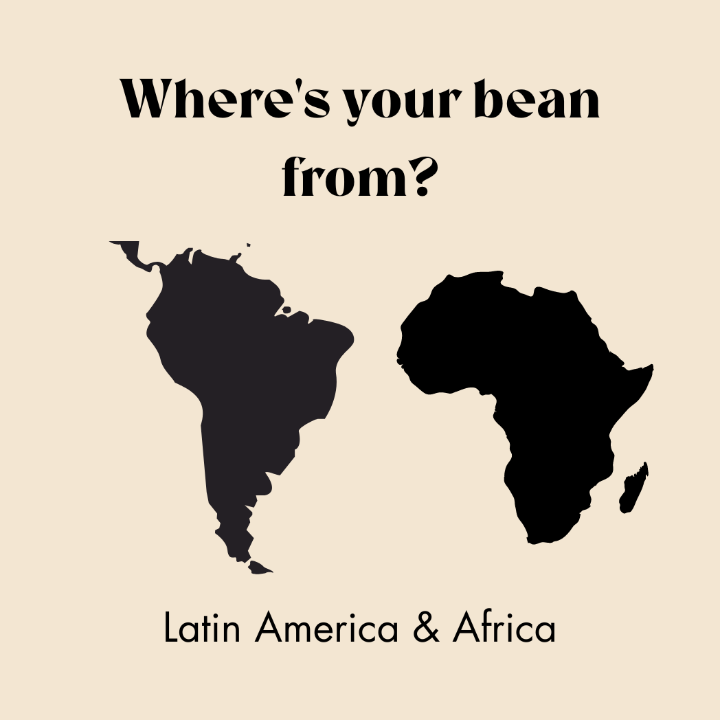 These coffee beans are from Latin America and Africa